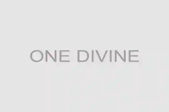 Sri Parthasarathy Temple