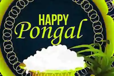 Pongal