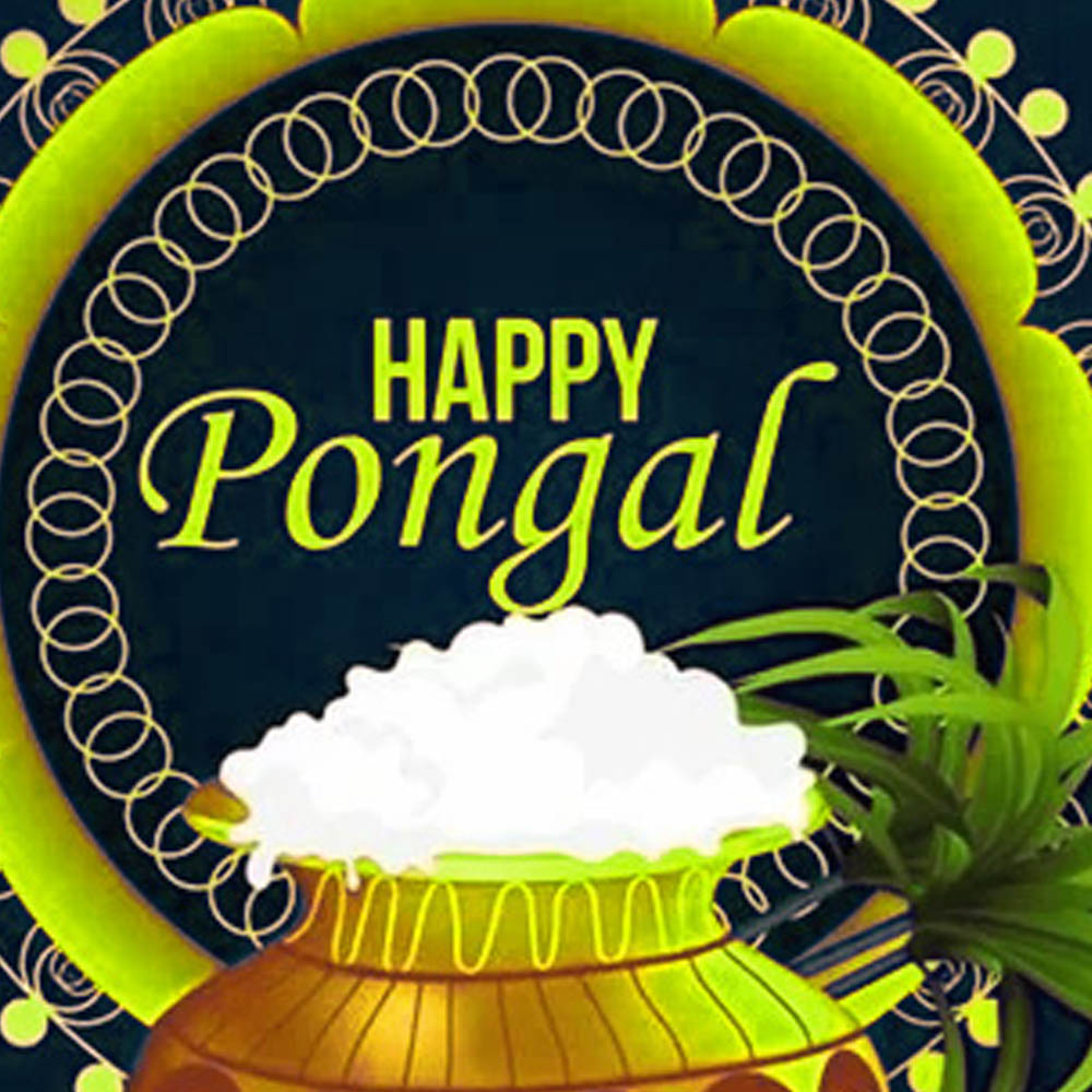 Pongal