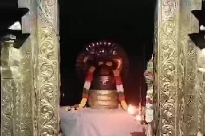 Sri Vaidyanathaswami Temple