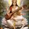 Saraswathi Pooja