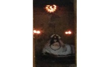 shiva