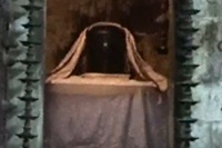 shiva
